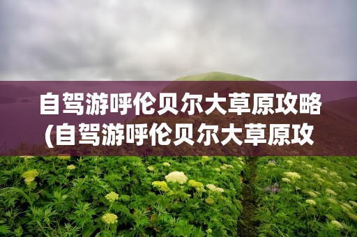 自驾游呼伦贝尔大草原攻略(自驾游呼伦贝尔大草原攻略图)