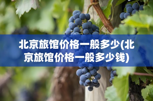 北京旅馆价格一般多少(北京旅馆价格一般多少钱)