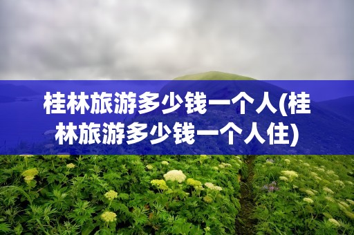 桂林旅游多少钱一个人(桂林旅游多少钱一个人住)