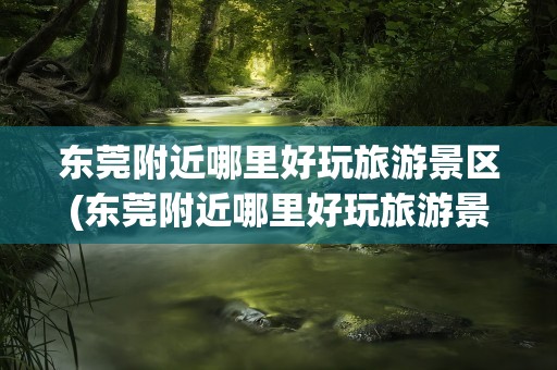 东莞附近哪里好玩旅游景区(东莞附近哪里好玩旅游景区推荐)
