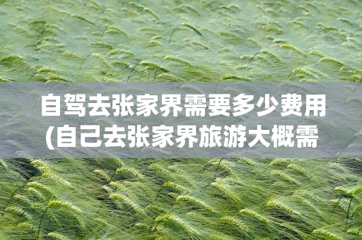 自驾去张家界需要多少费用(自己去张家界旅游大概需要多少钱)