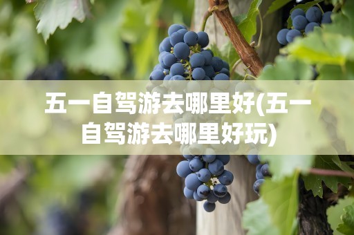 五一自驾游去哪里好(五一自驾游去哪里好玩)