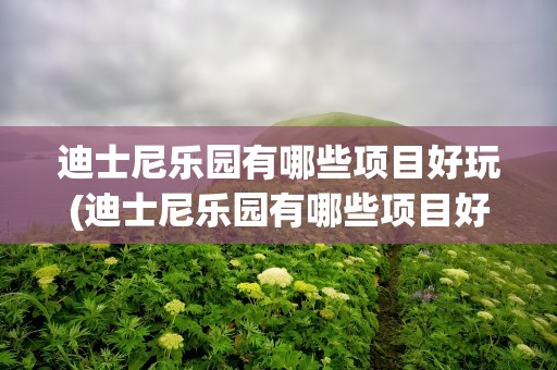 迪士尼乐园有哪些项目好玩(迪士尼乐园有哪些项目好玩作文)
