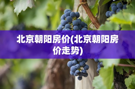 北京朝阳房价(北京朝阳房价走势)
