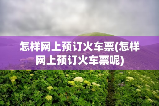 怎样网上预订火车票(怎样网上预订火车票呢)