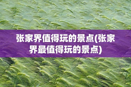 张家界值得玩的景点(张家界最值得玩的景点)