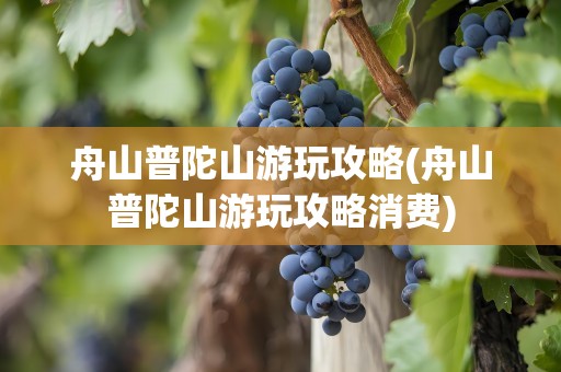 舟山普陀山游玩攻略(舟山普陀山游玩攻略消费)