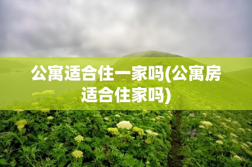 公寓适合住一家吗(公寓房适合住家吗)