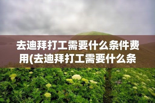 去迪拜打工需要什么条件费用(去迪拜打工需要什么条件费用2021)