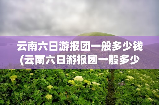 云南六日游报团一般多少钱(云南六日游报团一般多少钱啊)