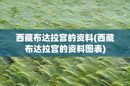 西藏布达拉宫的资料(西藏布达拉宫的资料图表)