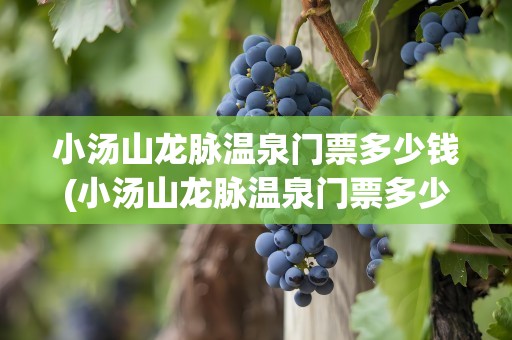 小汤山龙脉温泉门票多少钱(小汤山龙脉温泉门票多少钱一张)