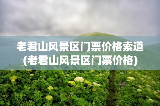 老君山风景区门票价格索道(老君山风景区门票价格)