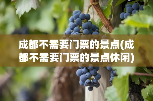 成都不需要门票的景点(成都不需要门票的景点休闲)