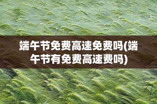 端午节免费高速免费吗(端午节有免费高速费吗)