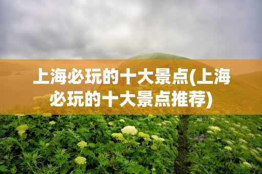 上海必玩的十大景点(上海必玩的十大景点推荐)