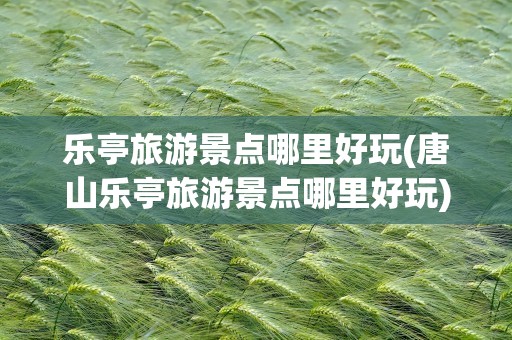 乐亭旅游景点哪里好玩(唐山乐亭旅游景点哪里好玩)