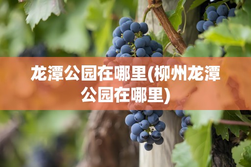 龙潭公园在哪里(柳州龙潭公园在哪里)
