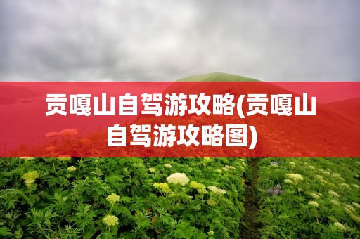 贡嘎山自驾游攻略(贡嘎山自驾游攻略图)