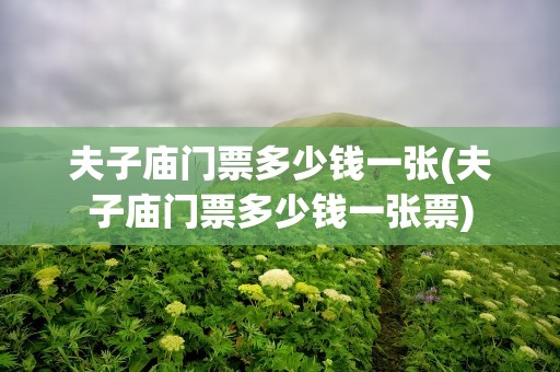 夫子庙门票多少钱一张(夫子庙门票多少钱一张票)