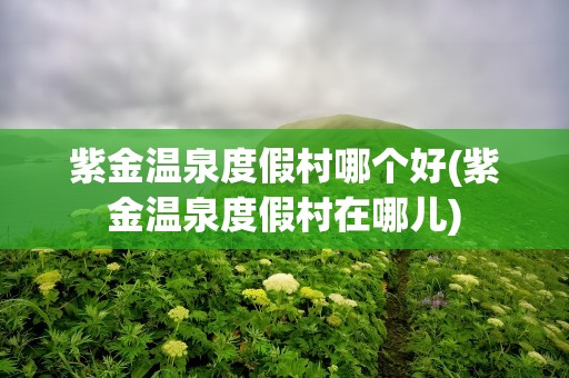 紫金温泉度假村哪个好(紫金温泉度假村在哪儿)