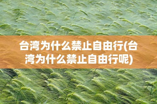 台湾为什么禁止自由行(台湾为什么禁止自由行呢)