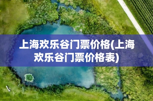 上海欢乐谷门票价格(上海欢乐谷门票价格表)