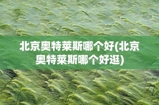 北京奥特莱斯哪个好(北京奥特莱斯哪个好逛)