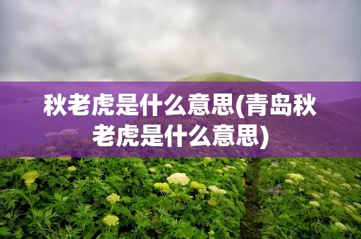 秋老虎是什么意思(青岛秋老虎是什么意思)