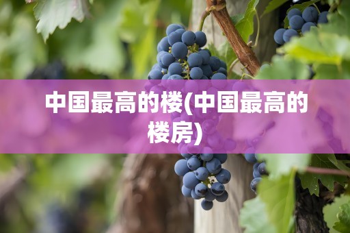 中国最高的楼(中国最高的楼房)