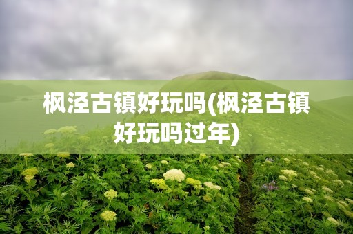 枫泾古镇好玩吗(枫泾古镇好玩吗过年)