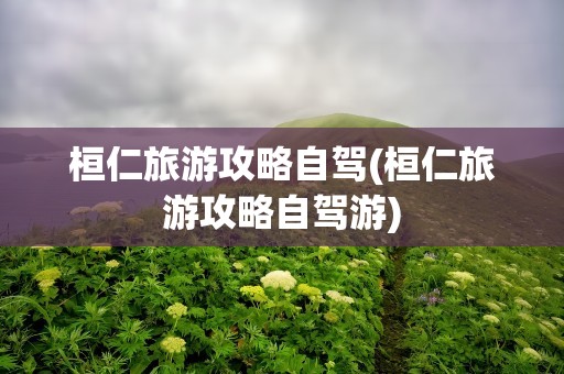 桓仁旅游攻略自驾(桓仁旅游攻略自驾游)