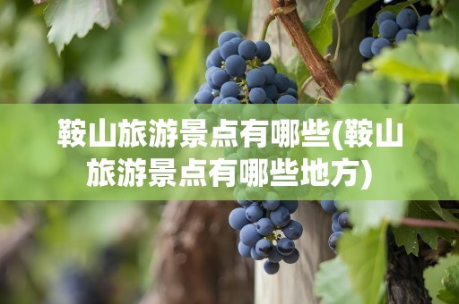 鞍山旅游景点有哪些(鞍山旅游景点有哪些地方)