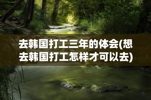 去韩国打工三年的体会(想去韩国打工怎样才可以去)