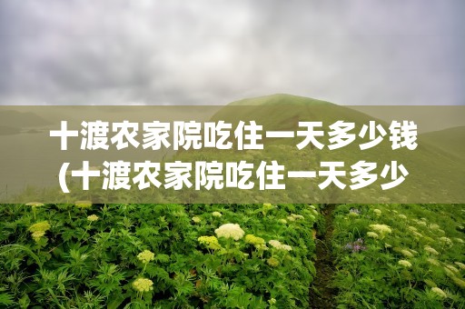 十渡农家院吃住一天多少钱(十渡农家院吃住一天多少钱合适)