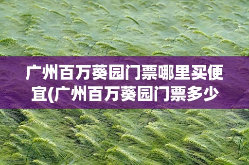广州百万葵园门票哪里买便宜(广州百万葵园门票多少钱一张)