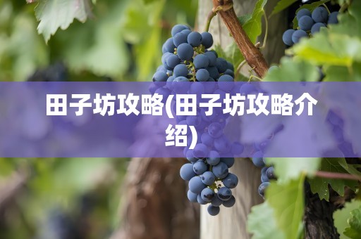田子坊攻略(田子坊攻略介绍)