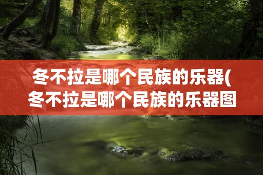 冬不拉是哪个民族的乐器(冬不拉是哪个民族的乐器图片)