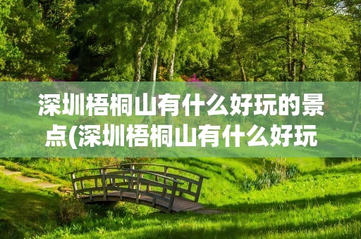 深圳梧桐山有什么好玩的景点(深圳梧桐山有什么好玩的景点吗)