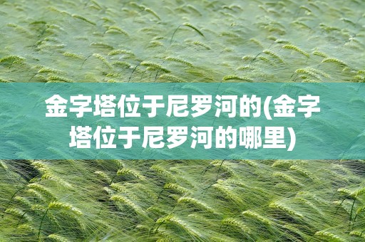 金字塔位于尼罗河的(金字塔位于尼罗河的哪里)