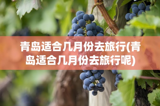 青岛适合几月份去旅行(青岛适合几月份去旅行呢)