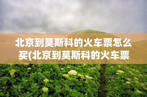 北京到莫斯科的火车票怎么买(北京到莫斯科的火车票怎么买票)
