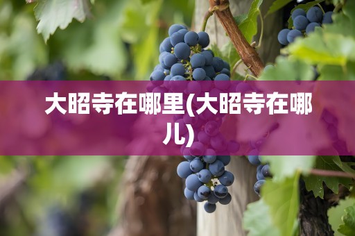 大昭寺在哪里(大昭寺在哪儿)