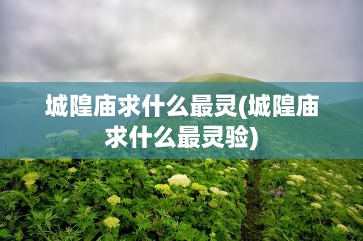 城隍庙求什么最灵(城隍庙求什么最灵验)