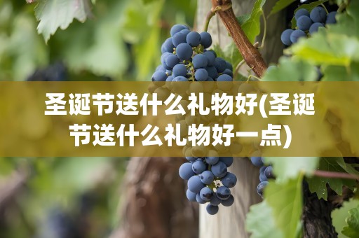圣诞节送什么礼物好(圣诞节送什么礼物好一点)