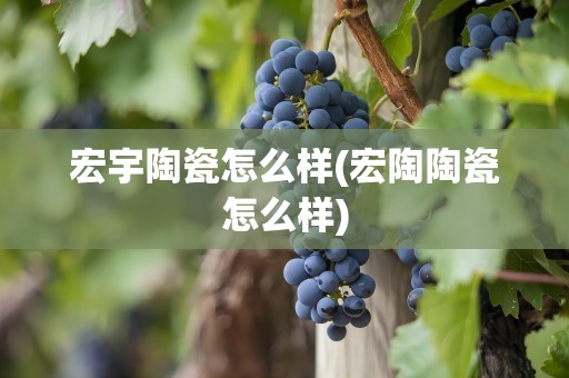 宏宇陶瓷怎么样(宏陶陶瓷怎么样)