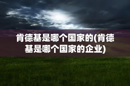 肯德基是哪个国家的(肯德基是哪个国家的企业)