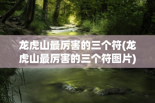 龙虎山最厉害的三个符(龙虎山最厉害的三个符图片)