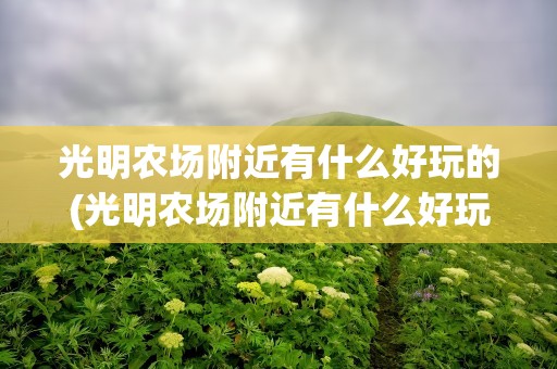 光明农场附近有什么好玩的(光明农场附近有什么好玩的吗)