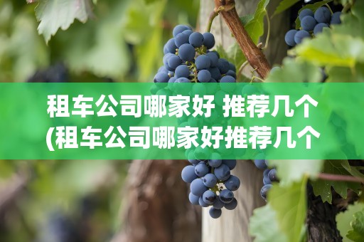 租车公司哪家好 推荐几个(租车公司哪家好推荐几个)
